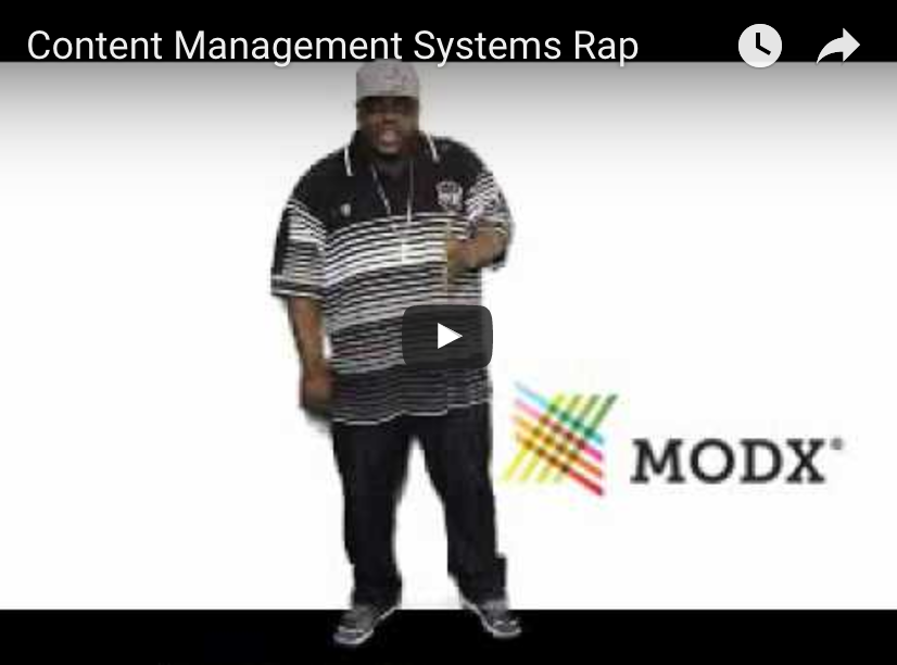 Content Management Systems The SEO Rapper